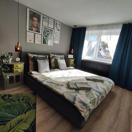 Dian Feelhome Banska Bela Εξωτερικό φωτογραφία