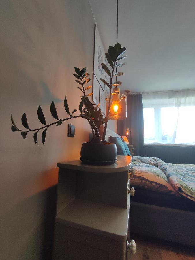 Dian Feelhome Banska Bela Εξωτερικό φωτογραφία